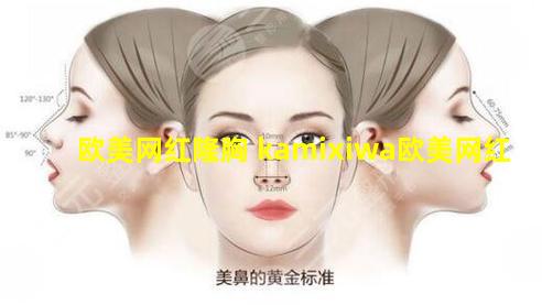 欧美网红隆胸 kamixiwa欧美网红